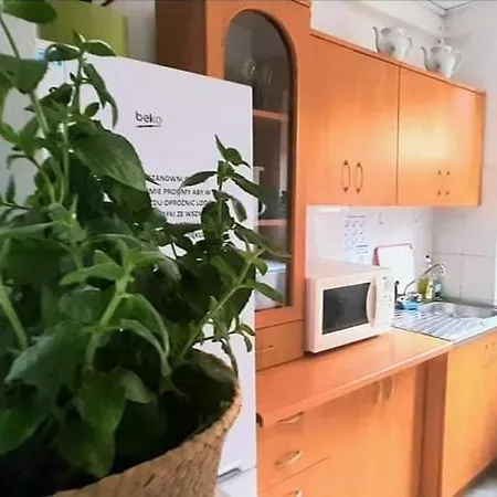 Pod Sloneczkiem 3 Guest house *